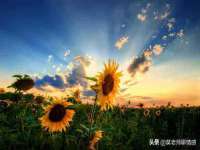 孝义市荣兴商贸有限公司