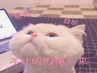 孝义市荣兴商贸有限公司