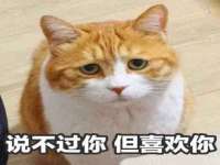 孝义市荣兴商贸有限公司