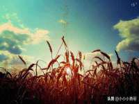孝义市荣兴商贸有限公司