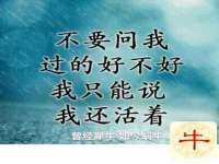 孝义市荣兴商贸有限公司