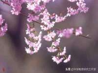 孝义市荣兴商贸有限公司