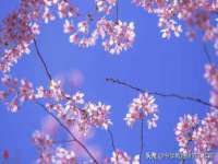 孝义市荣兴商贸有限公司