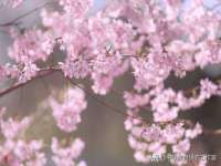 孝义市荣兴商贸有限公司
