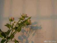 孝义市荣兴商贸有限公司