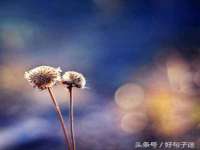 孝义市荣兴商贸有限公司