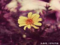 孝义市荣兴商贸有限公司