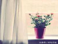 孝义市荣兴商贸有限公司