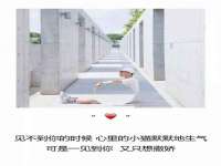 孝义市荣兴商贸有限公司