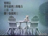 孝义市荣兴商贸有限公司