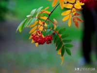 孝义市荣兴商贸有限公司
