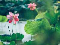 孝义市荣兴商贸有限公司