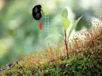 孝义市荣兴商贸有限公司