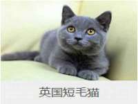孝义市荣兴商贸有限公司