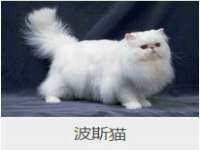 孝义市荣兴商贸有限公司