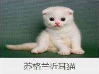 孝义市荣兴商贸有限公司