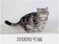 孝义市荣兴商贸有限公司