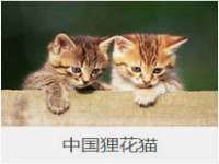 孝义市荣兴商贸有限公司