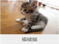 孝义市荣兴商贸有限公司