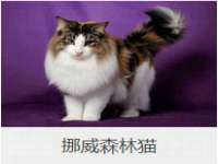 孝义市荣兴商贸有限公司