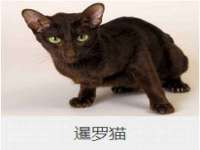 孝义市荣兴商贸有限公司