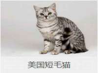 孝义市荣兴商贸有限公司