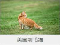 孝义市荣兴商贸有限公司