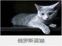 孝义市荣兴商贸有限公司