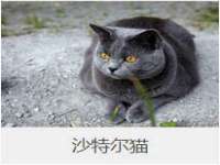 孝义市荣兴商贸有限公司
