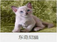 孝义市荣兴商贸有限公司
