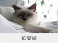 孝义市荣兴商贸有限公司