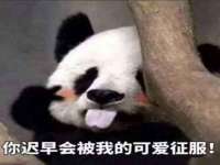 孝义市荣兴商贸有限公司