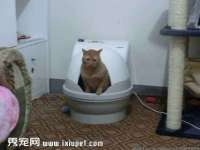 孝义市荣兴商贸有限公司