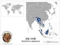 孝义市荣兴商贸有限公司