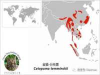 孝义市荣兴商贸有限公司