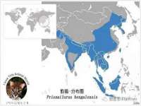 孝义市荣兴商贸有限公司