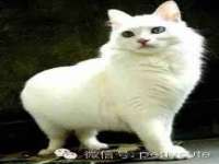 孝义市荣兴商贸有限公司