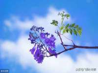 孝义市荣兴商贸有限公司