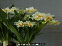 孝义市荣兴商贸有限公司
