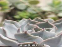 孝义市荣兴商贸有限公司