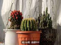 孝义市荣兴商贸有限公司