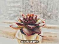 孝义市荣兴商贸有限公司