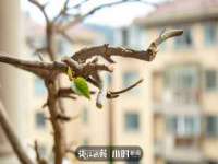 孝义市荣兴商贸有限公司