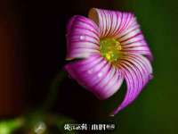 孝义市荣兴商贸有限公司