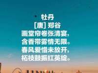 孝义市荣兴商贸有限公司