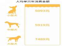 孝义市荣兴商贸有限公司