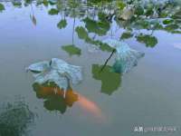 孝义市荣兴商贸有限公司
