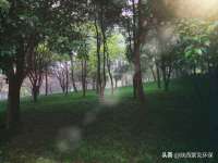 孝义市荣兴商贸有限公司