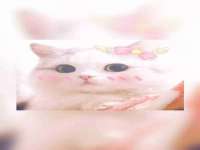 孝义市荣兴商贸有限公司