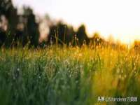 孝义市荣兴商贸有限公司